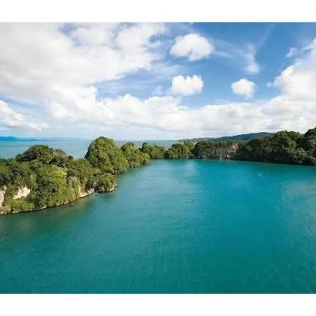 Room In Guest Room - Best Bed And Breakfast In Samana Breakfast Included Exterior foto