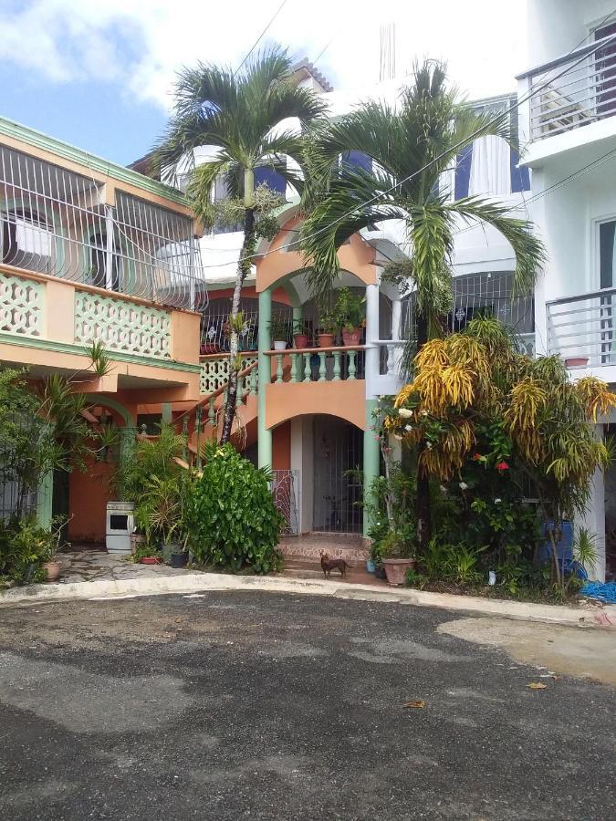 Room In Guest Room - Best Bed And Breakfast In Samana Breakfast Included Exterior foto