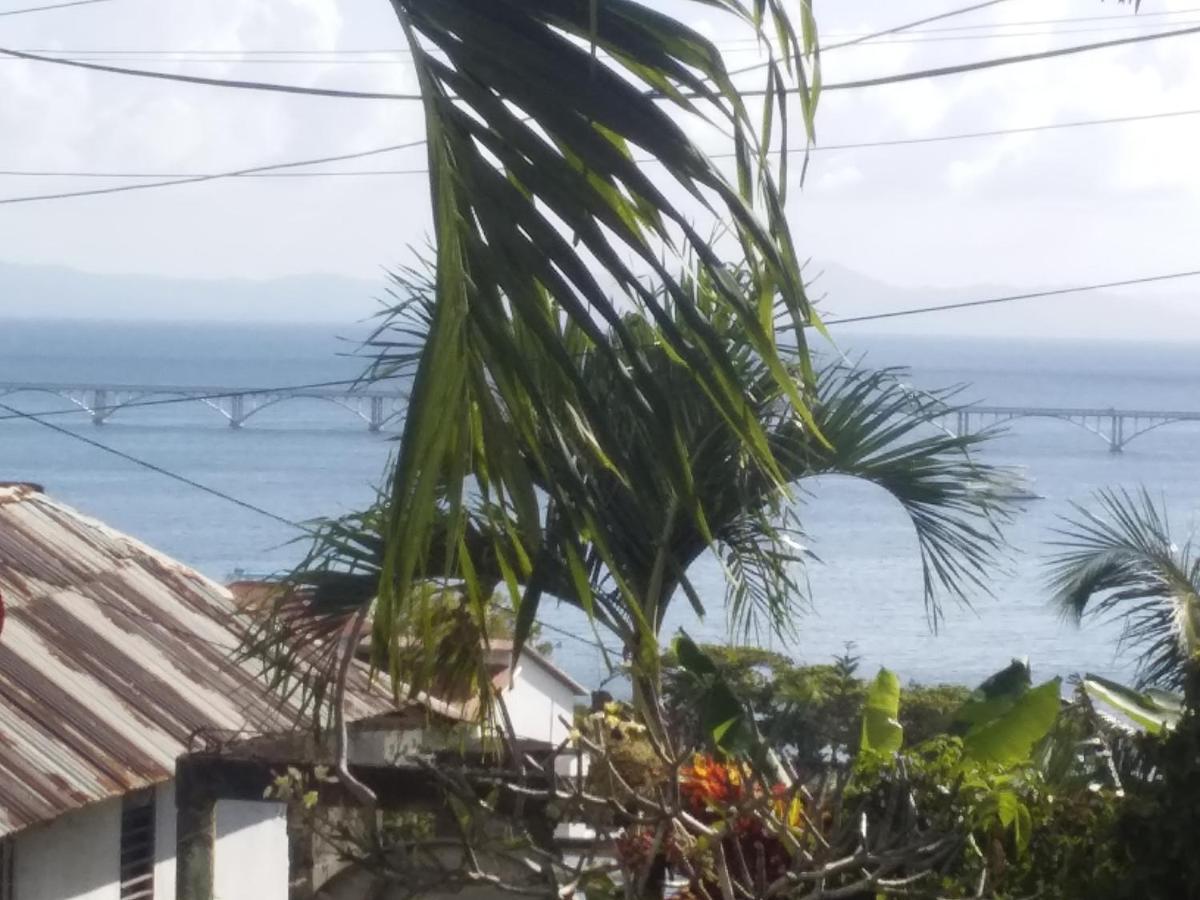 Room In Guest Room - Best Bed And Breakfast In Samana Breakfast Included Exterior foto